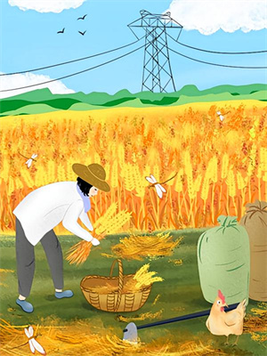 霜凝西风吹雁影小说最新更新在哪里？免费在线看