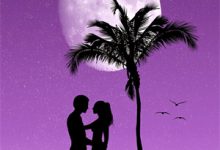 婚后分房?娇别娇羞小说全文哪里可以免费看?-若风文学