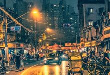 秋窗雨歇梦成空最新章节，秋窗雨歇梦成空免费阅读-若风文学
