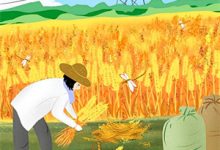 《教师节后，女儿成了全班公敌》小说章节列表免费试读，朵朵欣欣小说在线阅读-若风文学